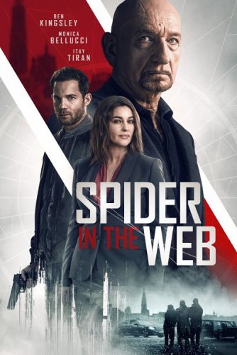 Постер к фильму Старые шпионские игры / Spider in the Web (2019) BDRip 1080p от селезень | iTunes