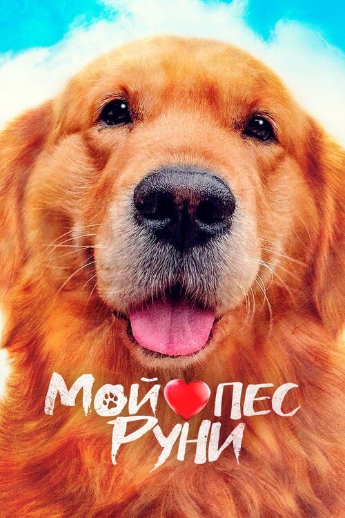 Мой пёс Руни / Meongmongi / My Heart Puppy (2022) WEB-DLRip-AVC от DoMiNo & селезень | D