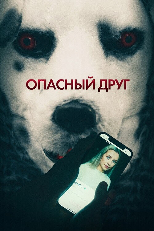 Постер к фильму Опасный друг / Good Boy (2022) WEB-DLRip-AVC от DoMiNo & селезень | D