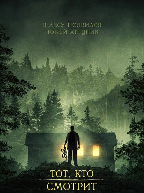 Постер к фильму Тот, кто смотрит / Stranger in the Woods (2024) UHD WEB-DL-HEVC 2160p от селезень | 4K | SDR | D