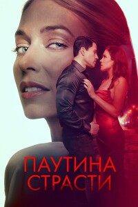 Паутина страсти / Demise (2024) WEB-DLRip от DoMiNo & селезень | D